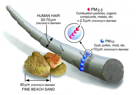 Particle size graphic